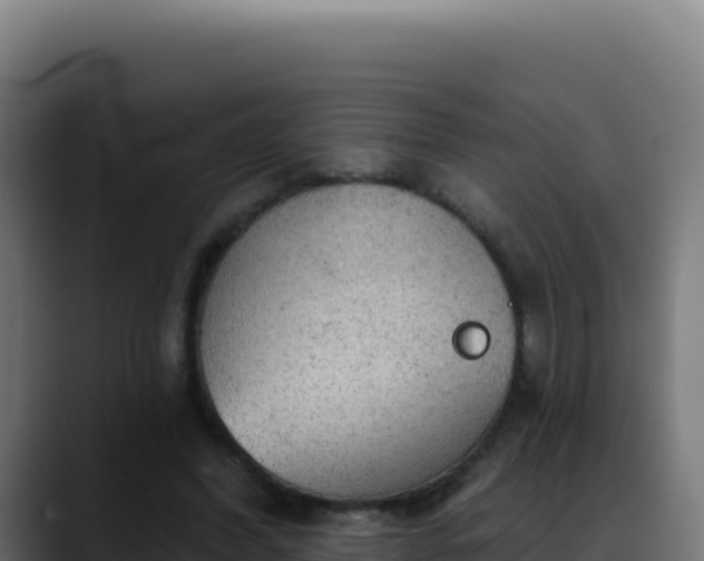 X0000088390396200705291412