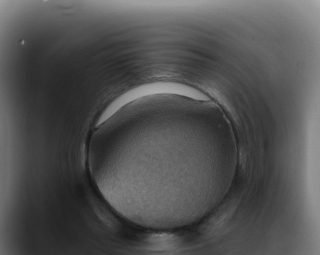 X0000088390397200705291412