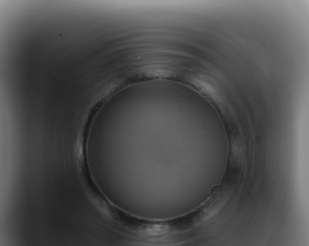 X0000088390398200705291412