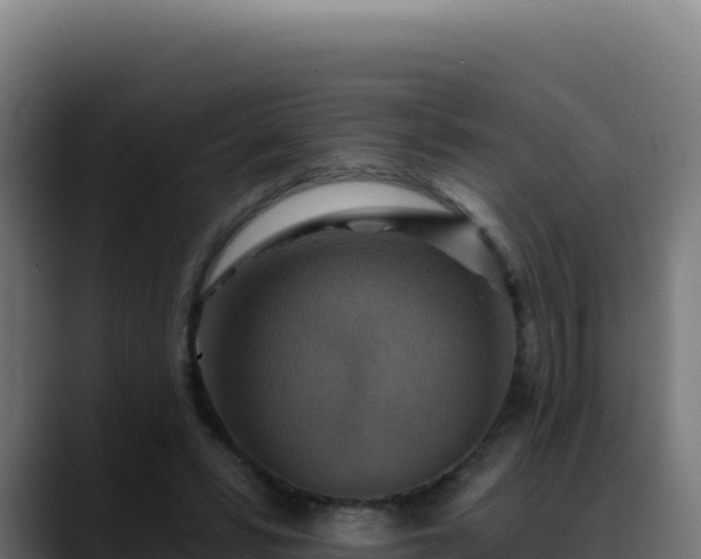 X0000088390399200705291412