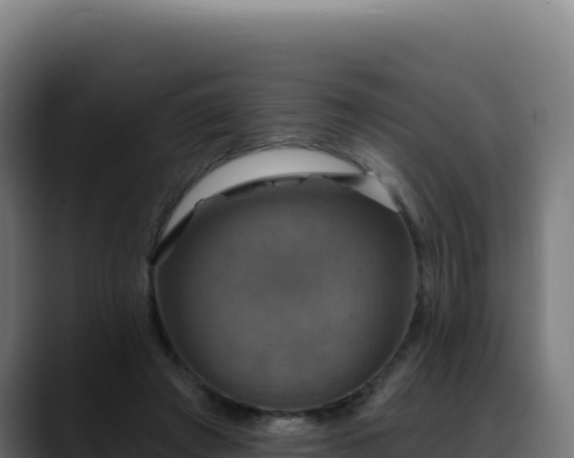 X0000088390401200705291412