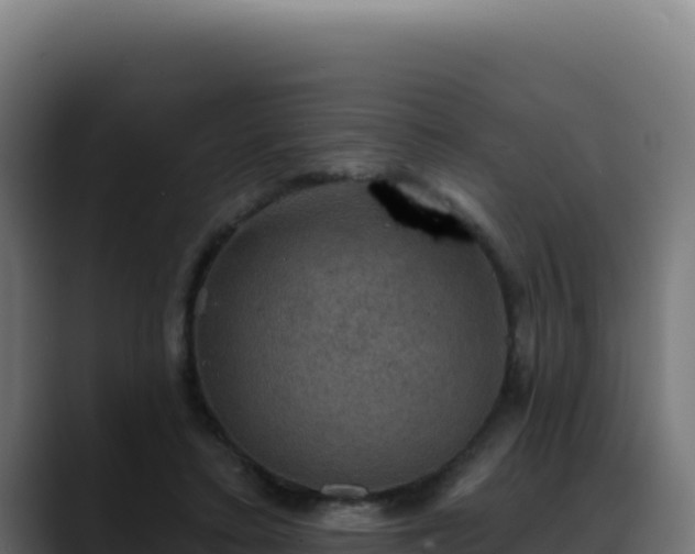 X0000088390403200705291412