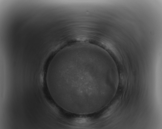 X0000088390404200705291412