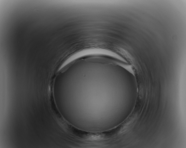 X0000088390405200705291412