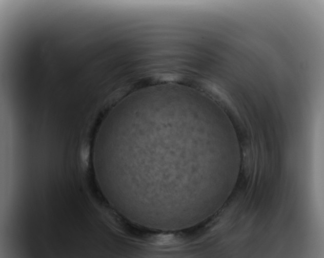 X0000088390406200705291412