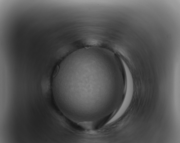 X0000088390407200705291412