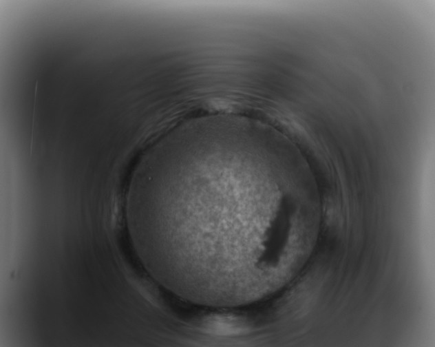 X0000088390408200705291412