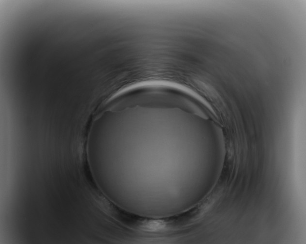 X0000088390409200705291412