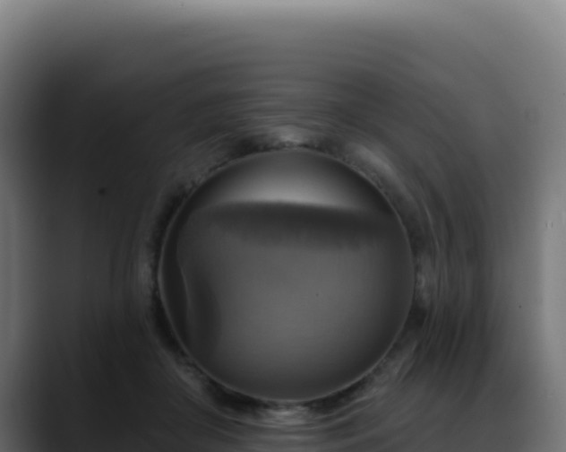 X0000088390410200705291412