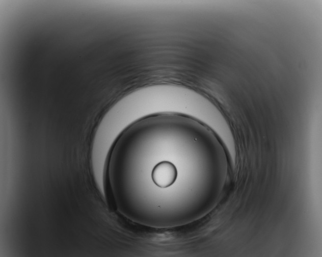 X0000088390411200705291412