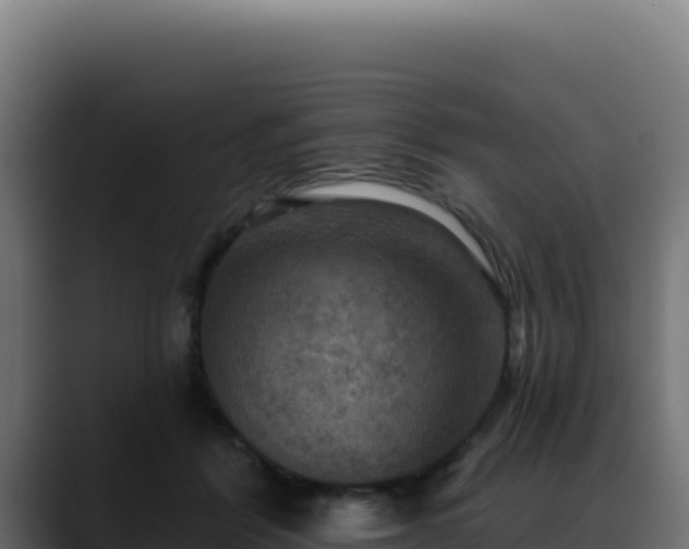 X0000088390412200705291412