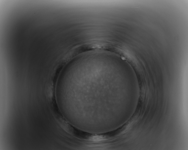 X0000088390413200705291412