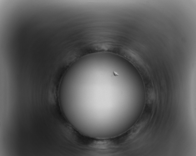 X0000088390414200705291412