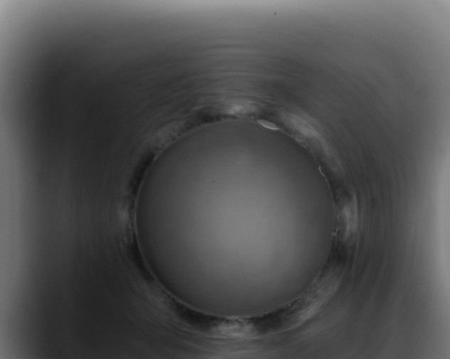 X0000088390415200705291412