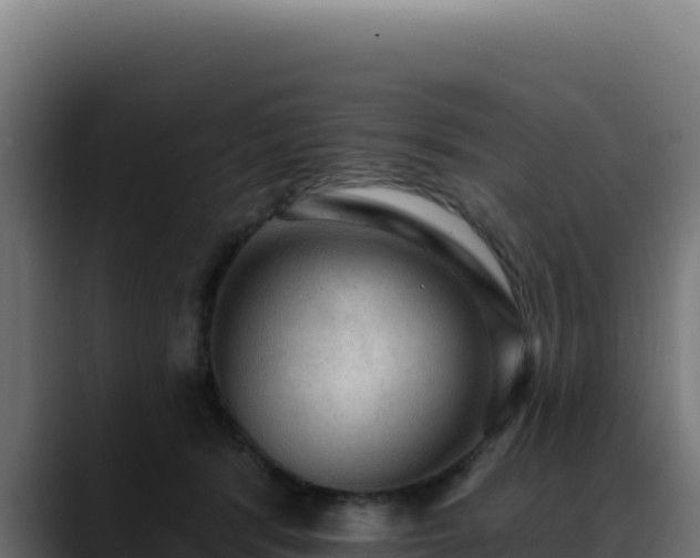 X0000088390416200705291412