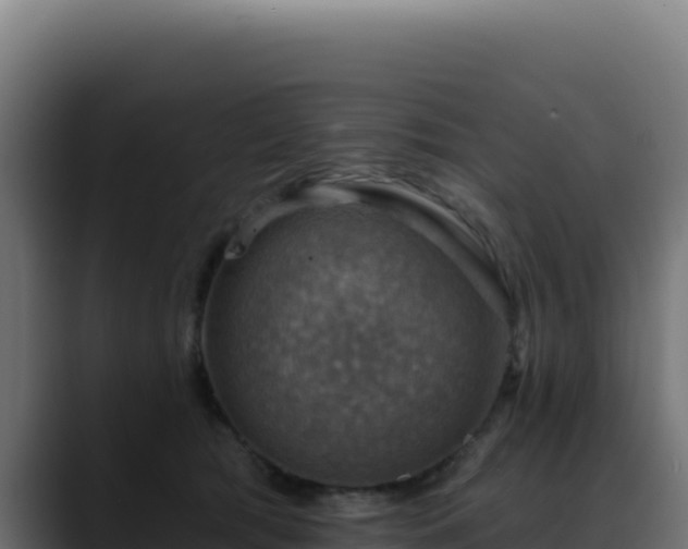 X0000088390417200705291412