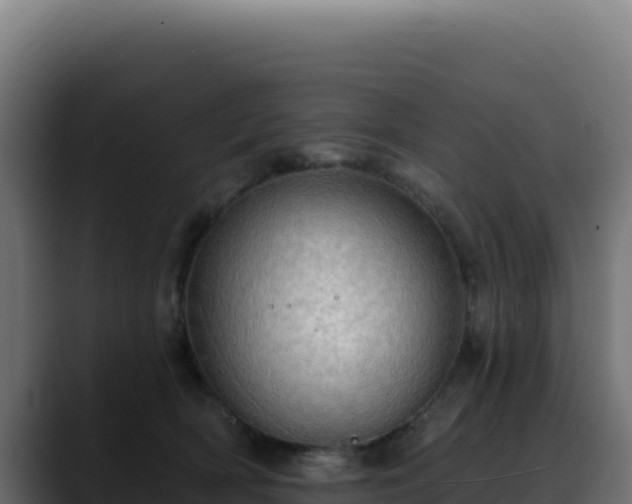 X0000088390418200705291412