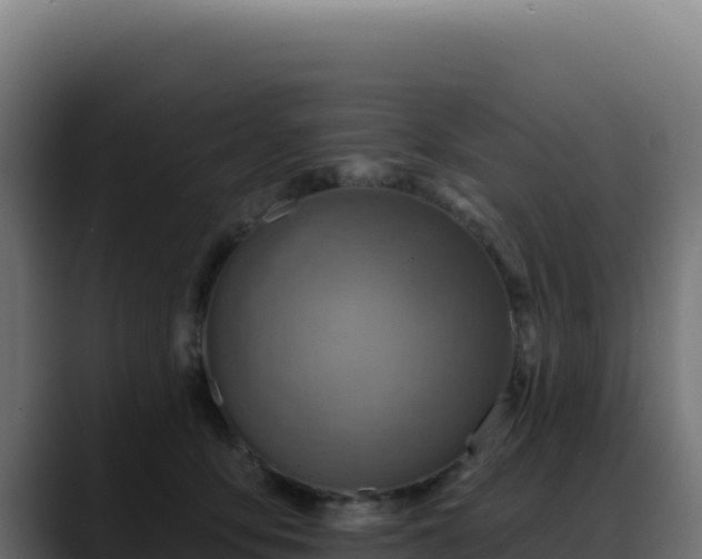 X0000088390419200705291412