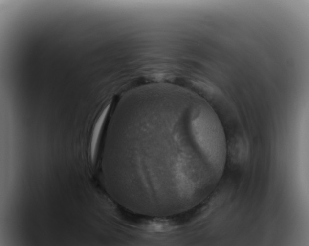 X0000088390420200705291412