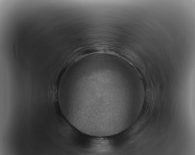 X0000088390421200705291412