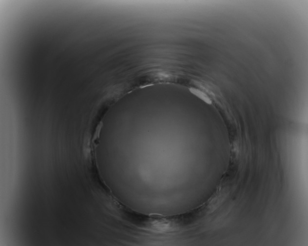 X0000088390423200705291412