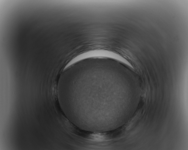 X0000088390425200705291412