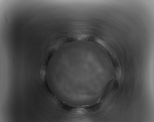 X0000088390427200705291412