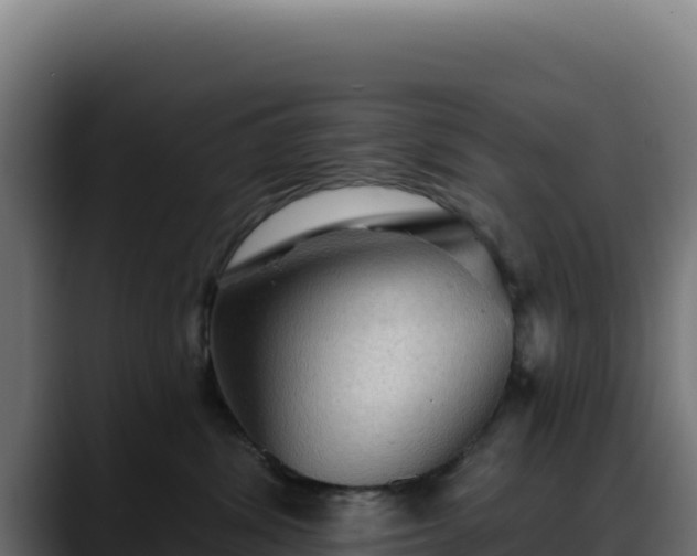 X0000088390428200705291412