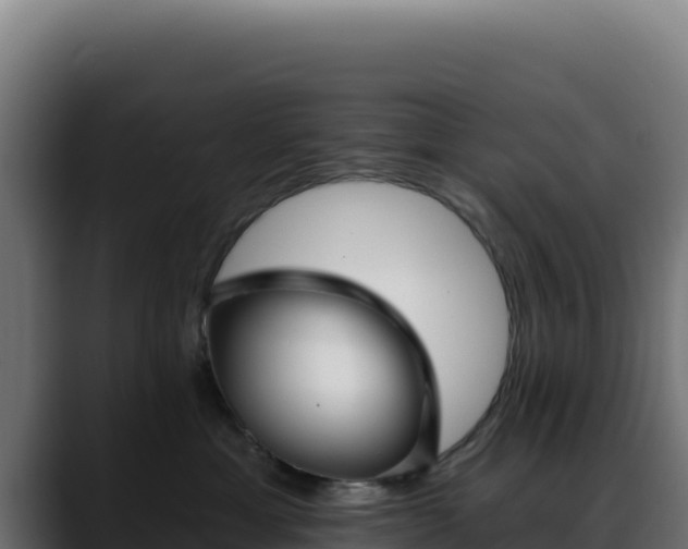 X0000088390429200705291412