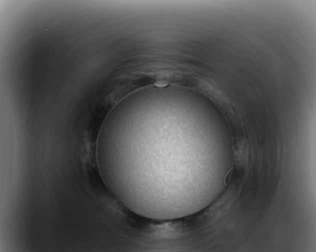 X0000088390430200705291412