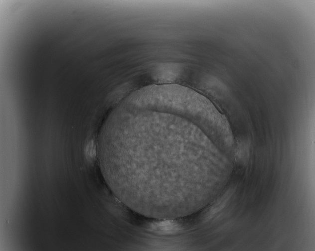 X0000088390431200705291412