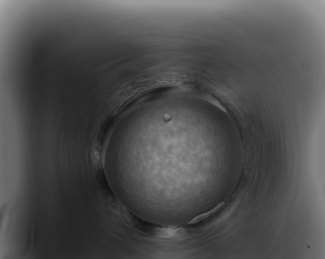 X0000088390432200705291412