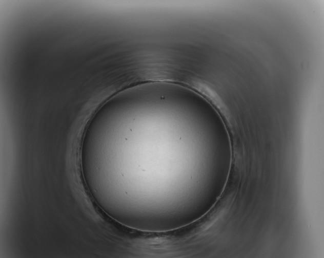 X0000088390433200705291411