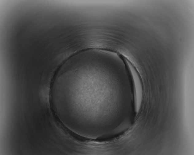 X0000088390434200705291411