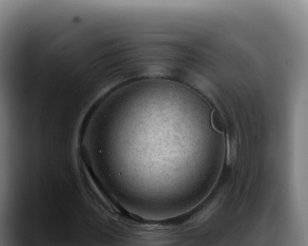 X0000088390435200705291411