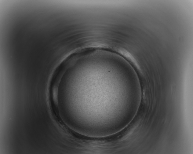 X0000088390436200705291411