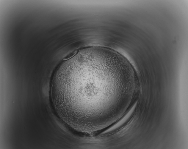 X0000088390437200705291411