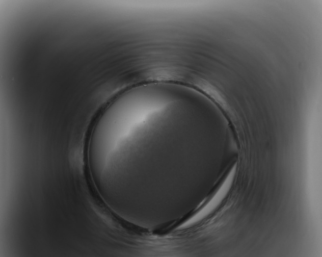 X0000088390438200705291411