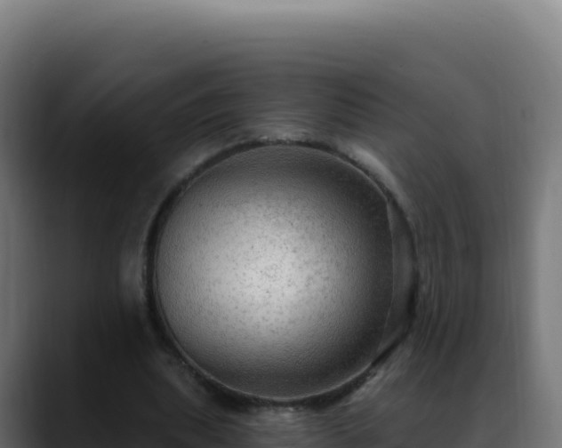 X0000088390439200705291411