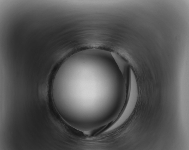 X0000088390440200705291411