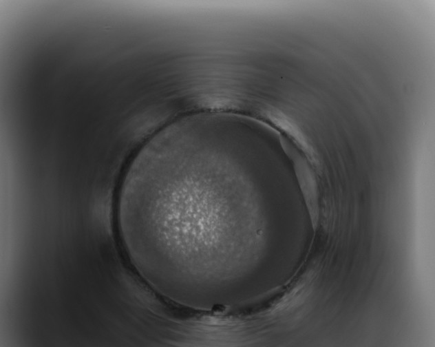 X0000088390442200705291411