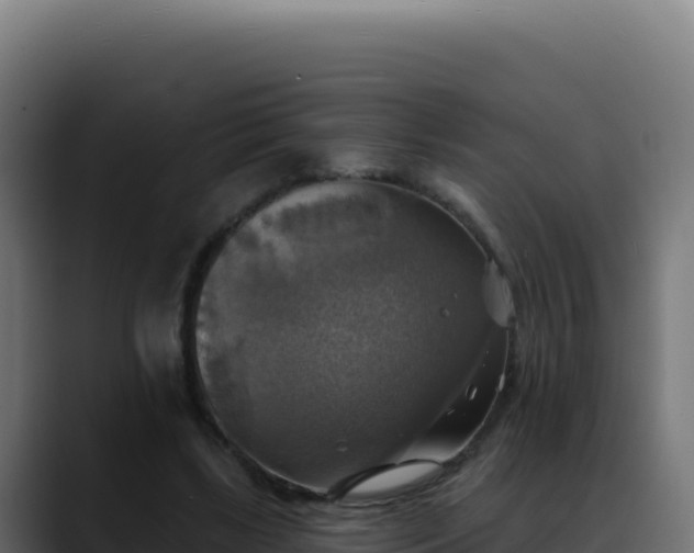 X0000088390443200705291411