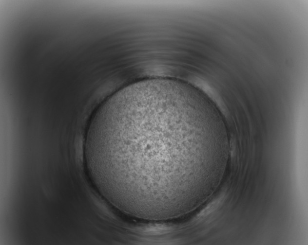 X0000088390445200705291411