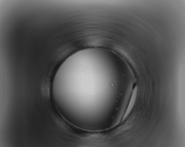 X0000088390446200705291411