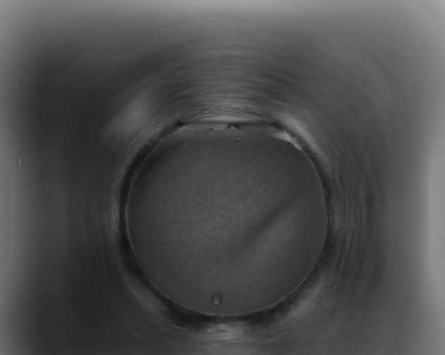 X0000088390447200705291411