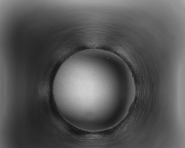 X0000088390448200705291411