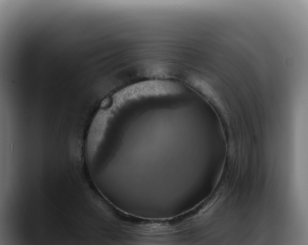 X0000088390449200705291412