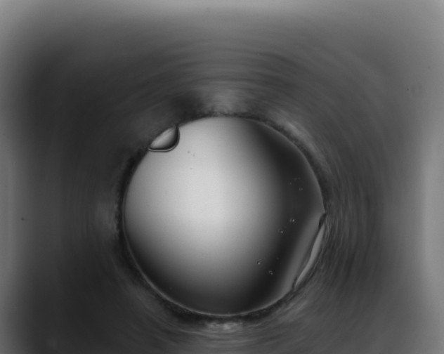 X0000088390450200705291412