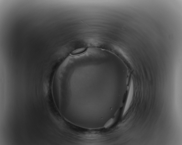 X0000088390451200705291412