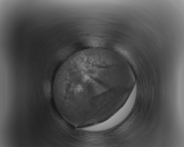 X0000088390453200705291412